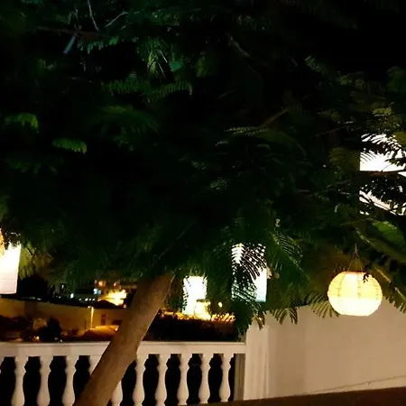 Apartment Adeje Ii Costa Adeje (Tenerife)